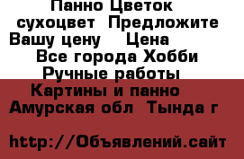 Панно Цветок - сухоцвет. Предложите Вашу цену! › Цена ­ 4 000 - Все города Хобби. Ручные работы » Картины и панно   . Амурская обл.,Тында г.